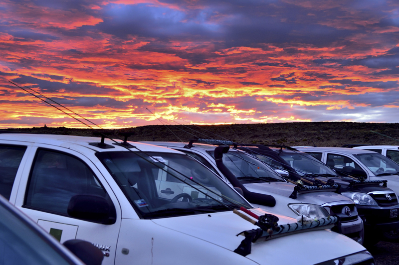 0302 JURASSIC LAKE 2019AA