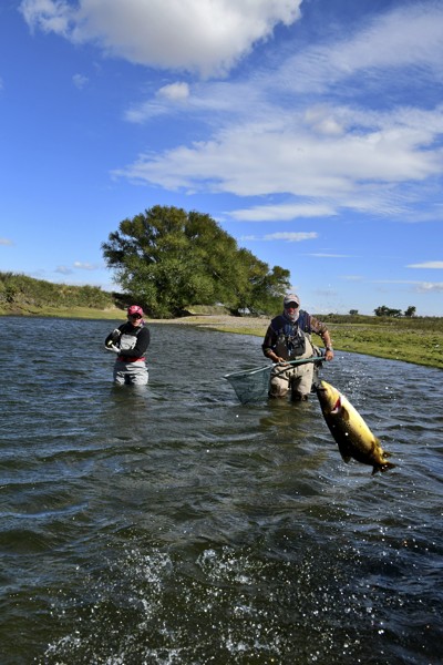 1792 Argentina 2018 LIMAY