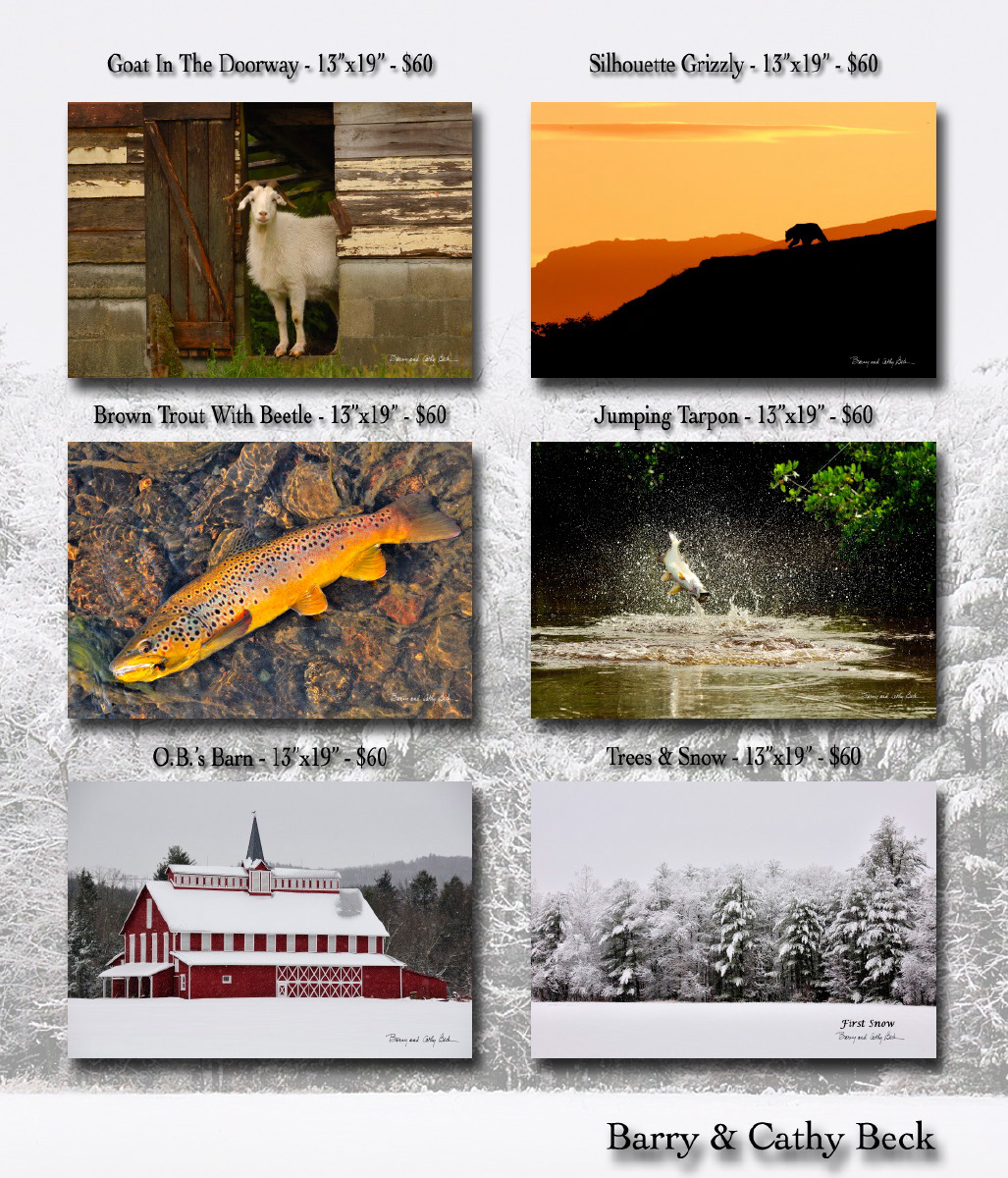 2015 Winter Online Print Sale Ad