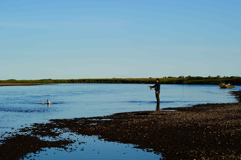 2181 ALASKA  BECK IMAGE 2014