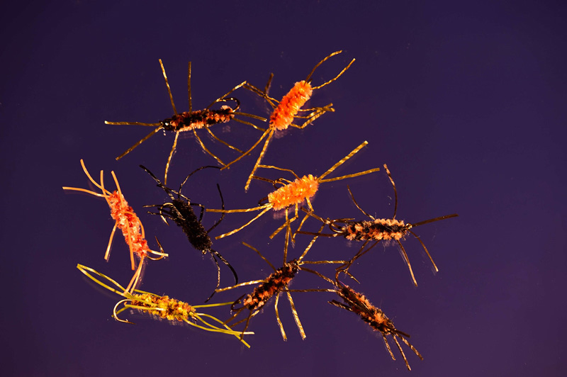 77 POWER PINT IMAGES