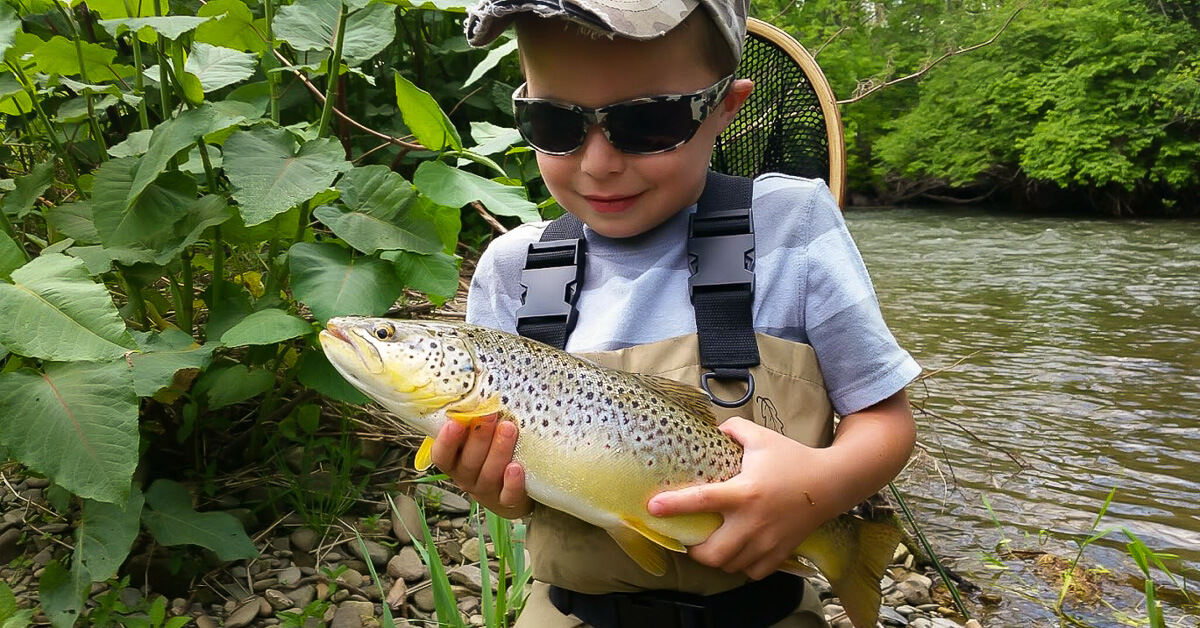 Aiden First Solo Brown 1 of 1