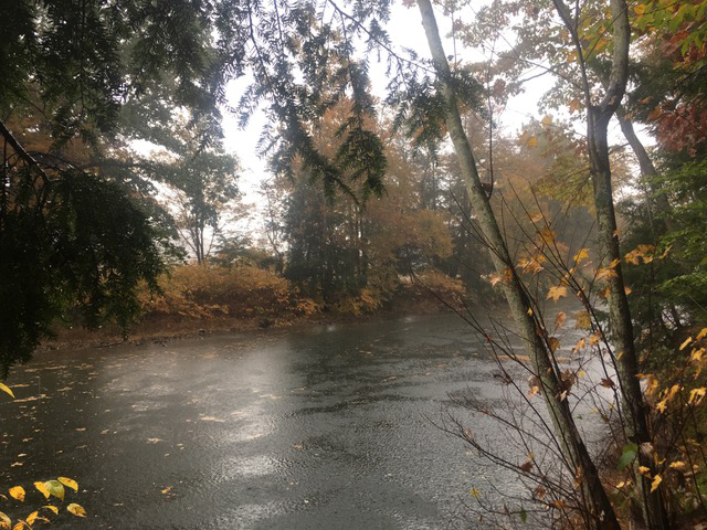 Autumn Rain