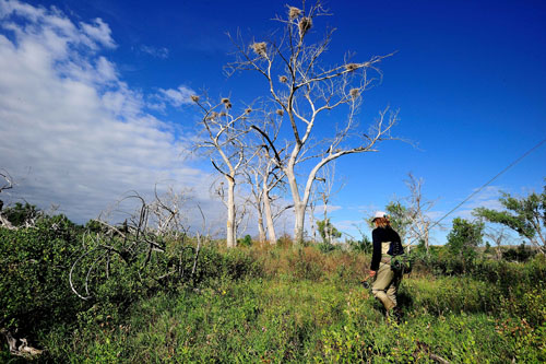 BIGHORN RIVER  2014  1635