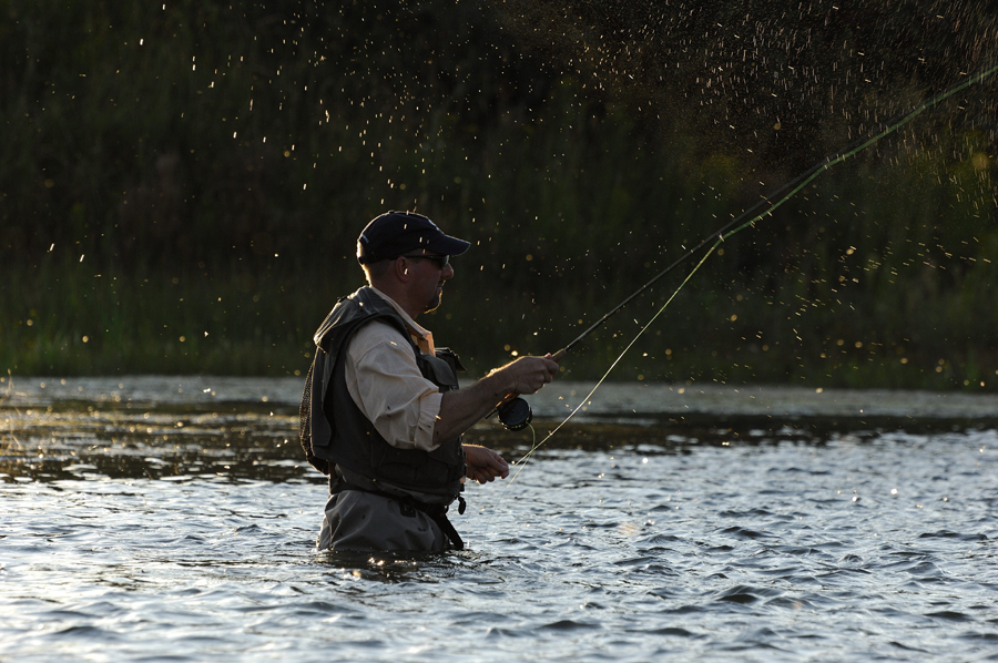 Caddis on Bighorn 2000