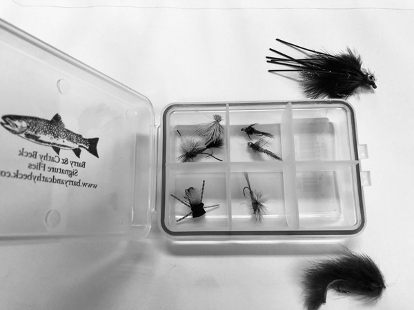 Cathys8favflies 5449