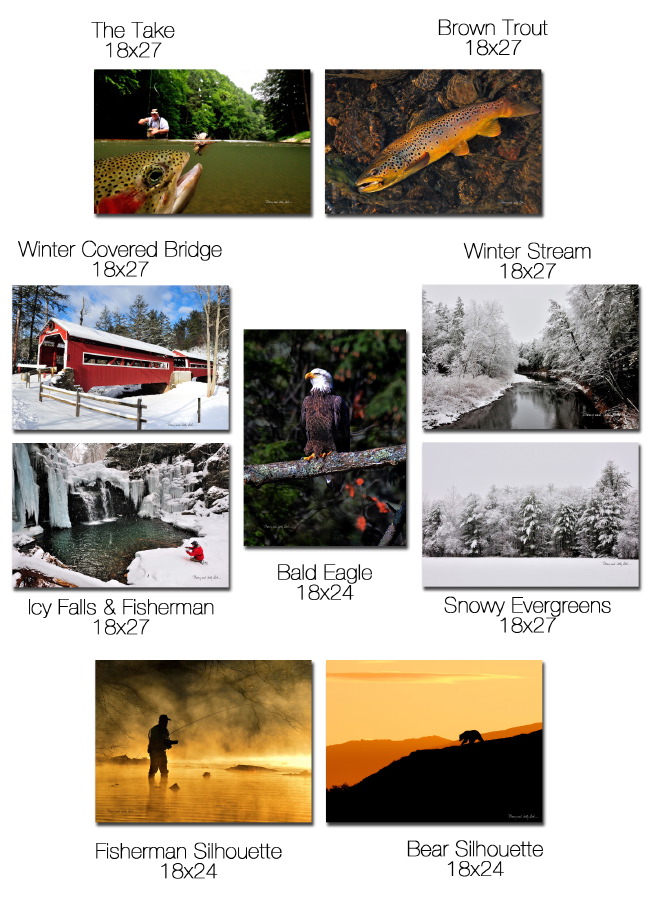 Cavas Collage Nov 2018