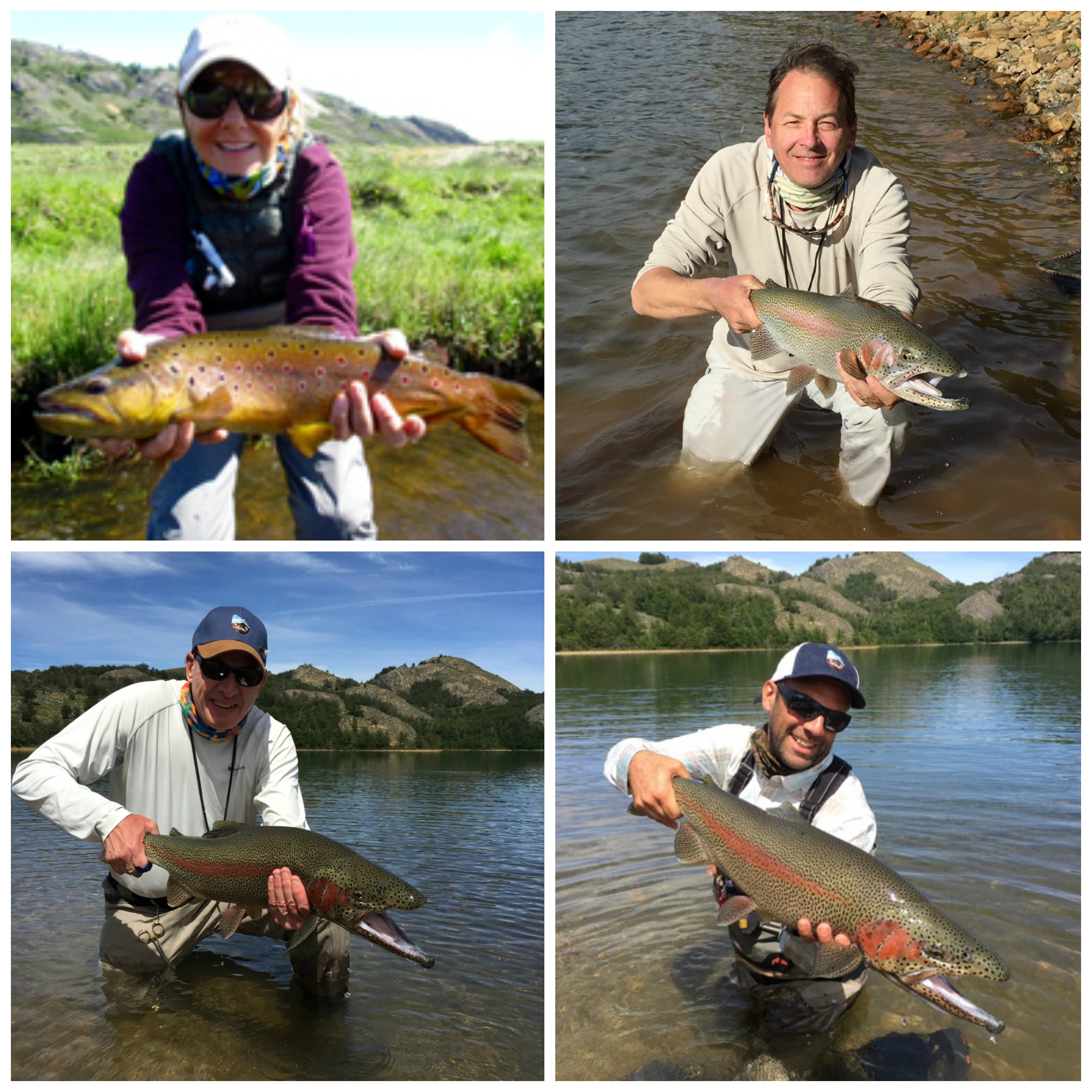 PicMonkey Collage