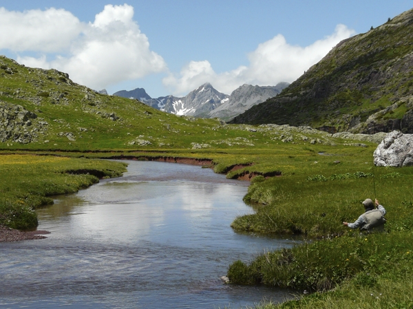 Western Pyrenees Stream